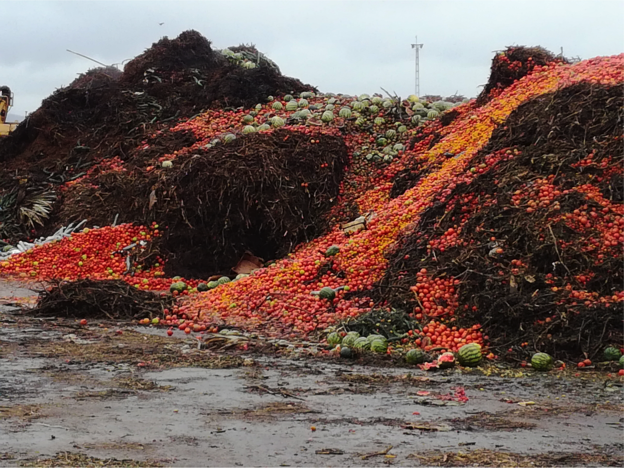Waste-to-Biogas